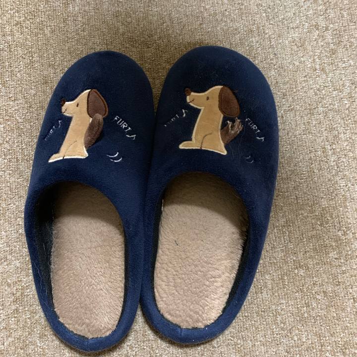 E4628208 4e0f 48e2 ac50 927ecbb0547d 1579576075476