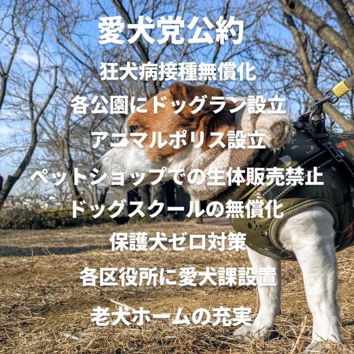 E4628e6b 559c 4658 9833 f2777ab09e7f 1770706130078