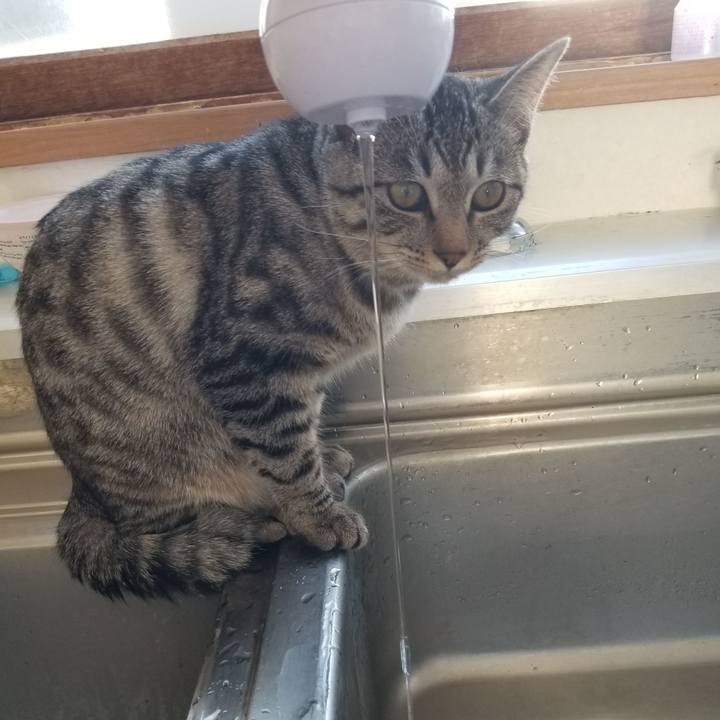 E4629f5f c59d 49ef ac93 f51805742054 1672387904630