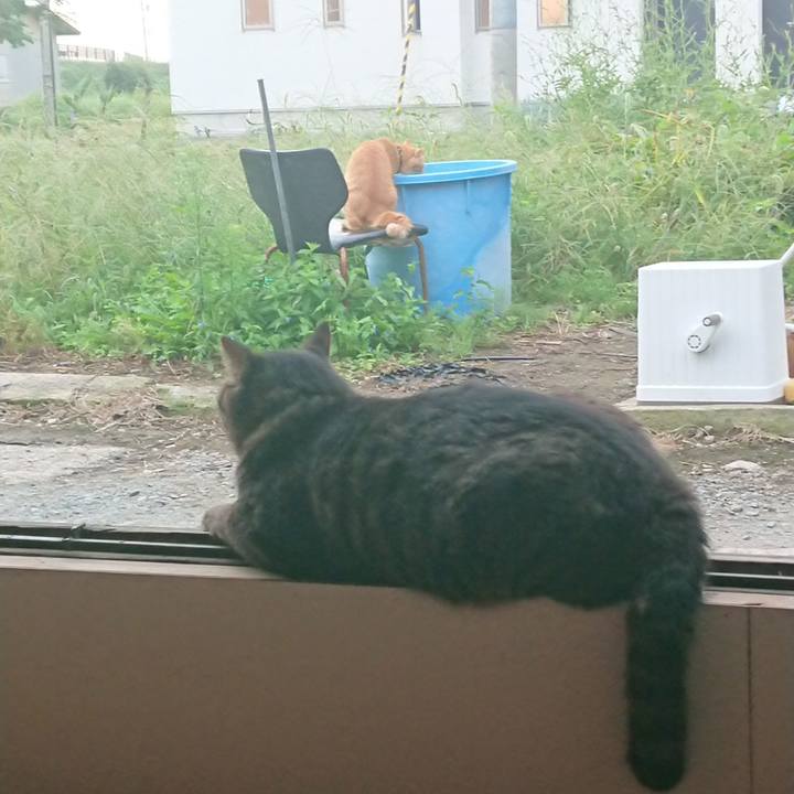 E462a87c 1e53 4ac6 925b 62cae50a7b57 1663103798173