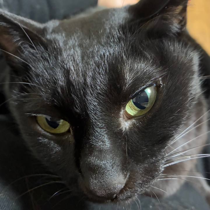 E462d7fe 7865 466d 813d b8bd58c724fe 1764674554218