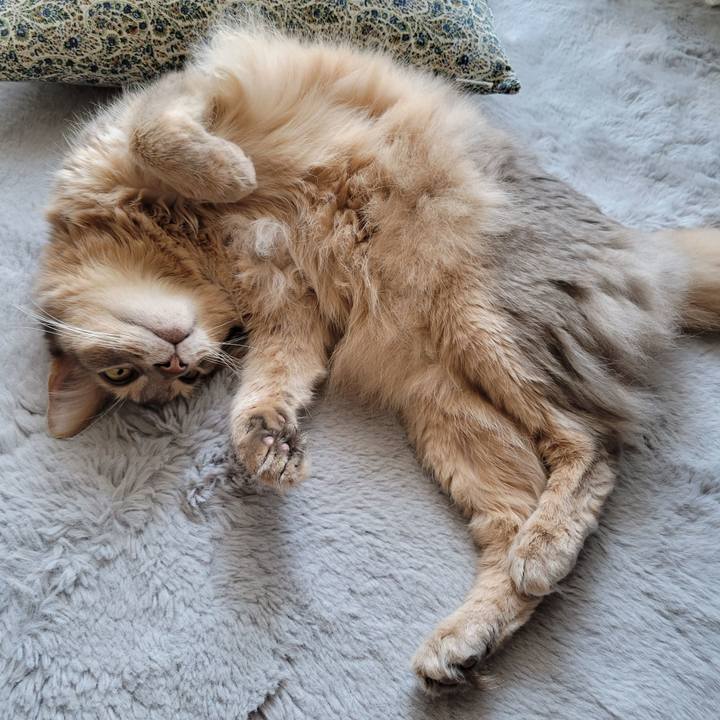 E462d8ba f5df 457a 89e2 2c19f6e7ebe2 1656127328293