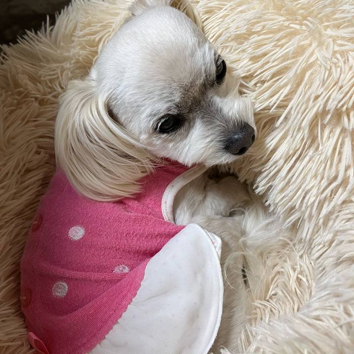 E463033d 9877 4402 be04 8bbef8c42ff0 1682595339980