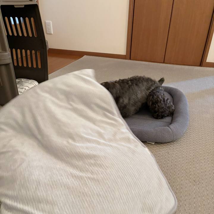 E4630d76 60f4 4d99 8498 a2849777d2d6 1755392991795