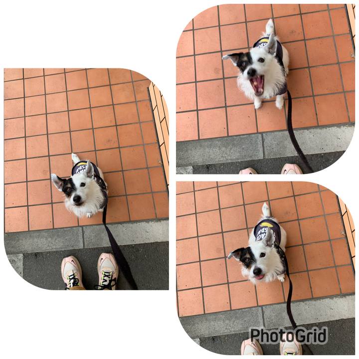 E4632412 ef29 4f28 8c96 bbe4f222f783 1713858411816