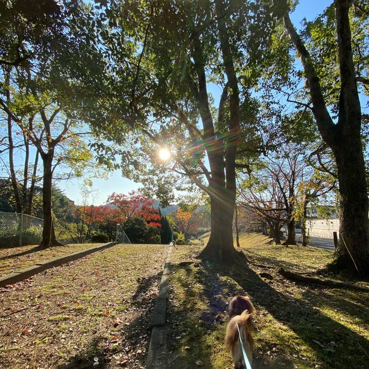 E46346ef 65a4 4bcd 8928 2b40a955dfb4 1573344077116