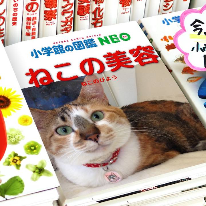 E4635435 4684 4372 bb3b 9daa47abe0d8 1578015946347