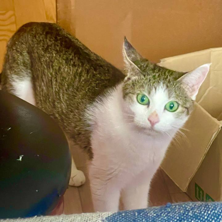 E463594e 1041 4f1b 8ccf 0a7e391ad3b0 1627686750428