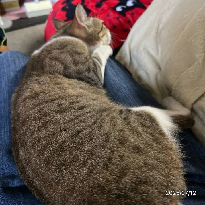 E46365dc bff6 4d6f a4de b98188be8869 1752289956719