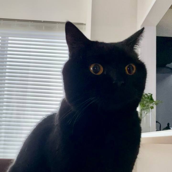 E46380bd 1cf2 4c7c 8bdc 27d47f5b405d 1674601009514