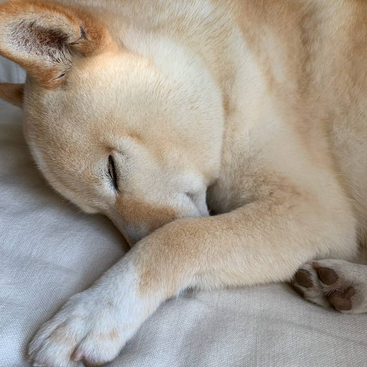 E4638e61 8e75 4051 99a1 d74df83f911b 1650499438279