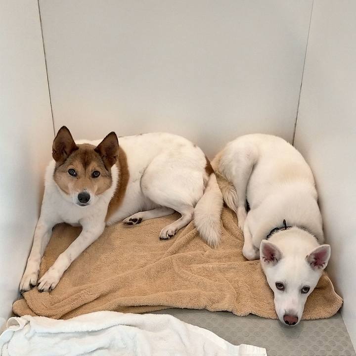 E4639f66 108c 420f 8a40 4e48a89a0148 1683441389658