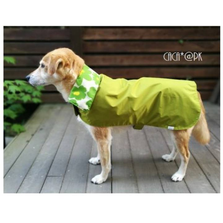 E463aa0b b281 421d ae39 a9b3e004105d 1524529251200