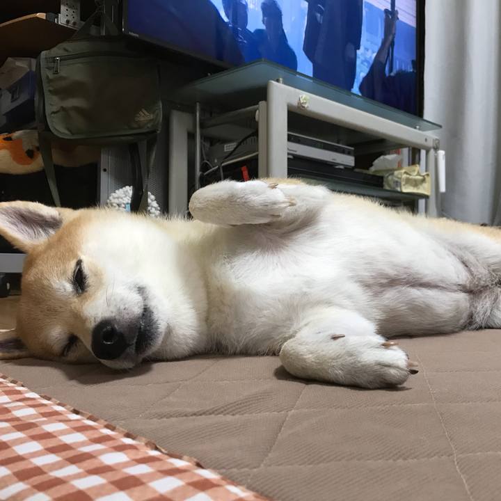 E463c6c9 53af 498e b349 d4a2840416e0 1539592802824