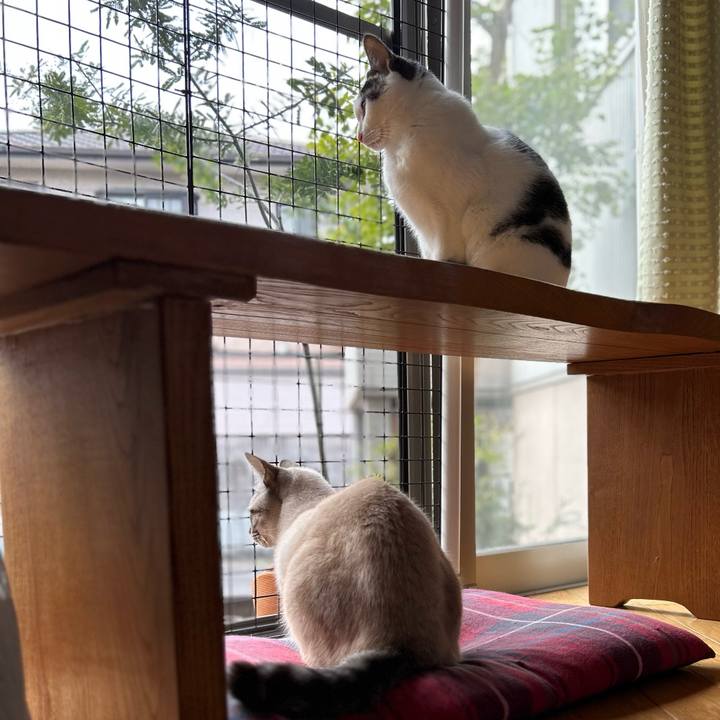 E463d4cb 6e5c 43d4 9818 3aea4fa305e6 1767595265461