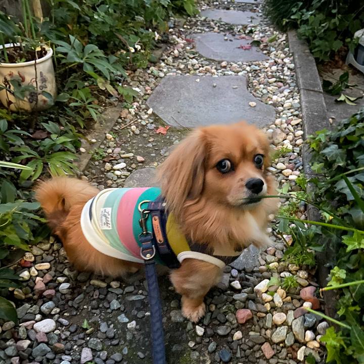 E4640ea9 0f58 452b a5ec 67986962941b 1576015460763