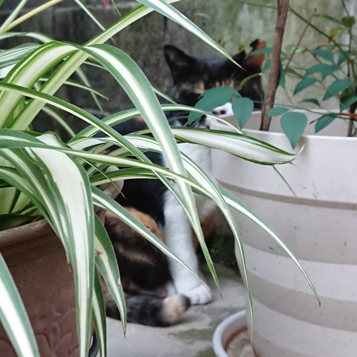 E4642020 8747 4adf 8f78 12880c9f1bfe 1664707121293