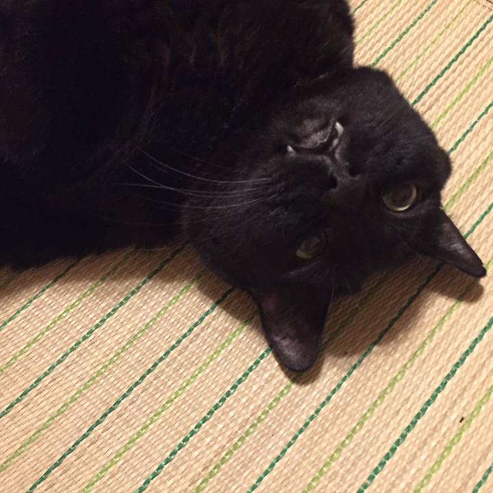 E4645a9e 8c75 4a00 b7e4 d27a25799a91 1564830221146