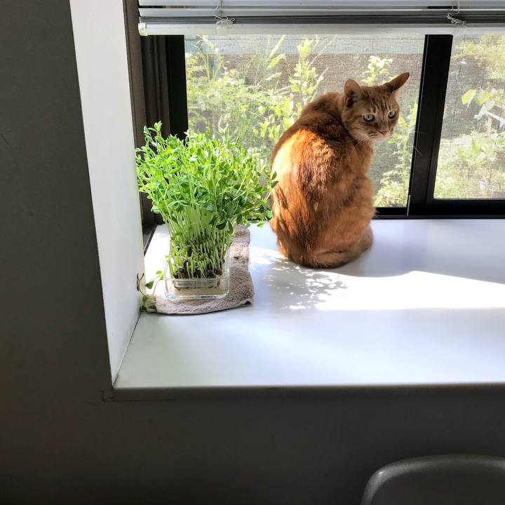 E4648614 5cdc 45c9 a263 0831d42dd2c5 1561513137444