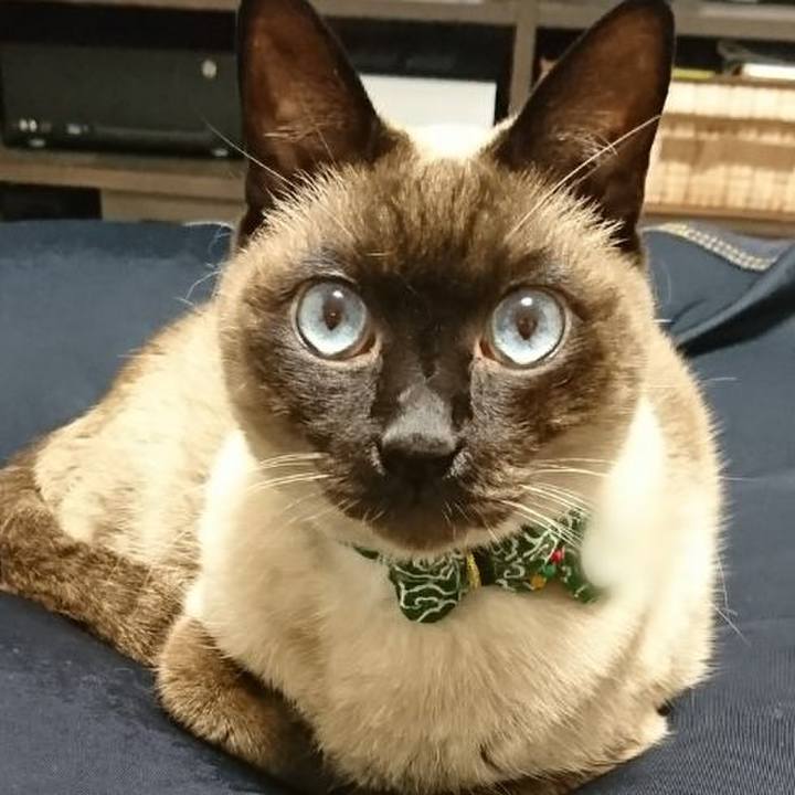 E4648b4f 851e 405f 909f 89282a843a44 1517180490975