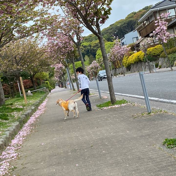 E464a57b 476c 4d00 93c8 f06ef07381e3 1618229787835