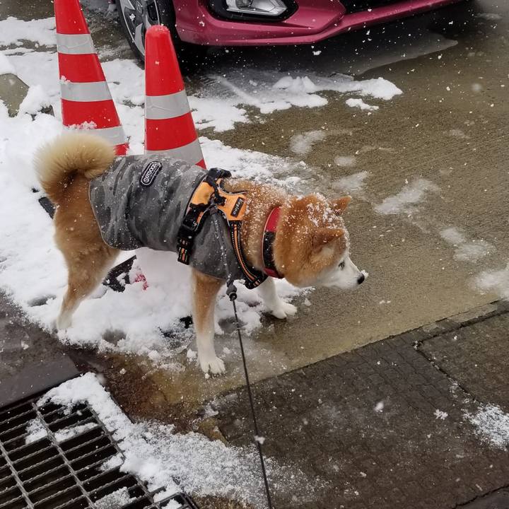 E464aed8 40de 42a2 93ac 18484f66def5 1736479958836