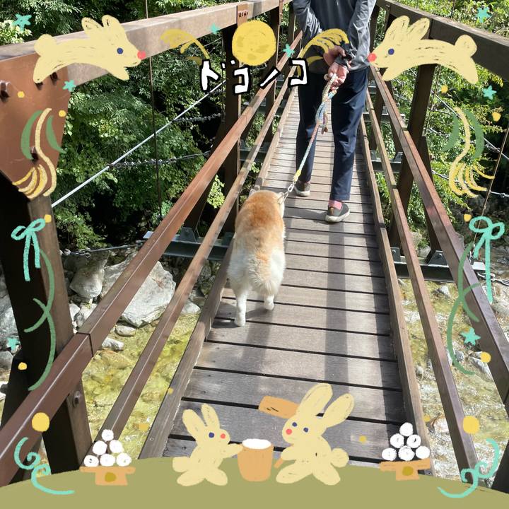 E464c186 e543 41da a678 8acf7f1ed53d 1727092153452