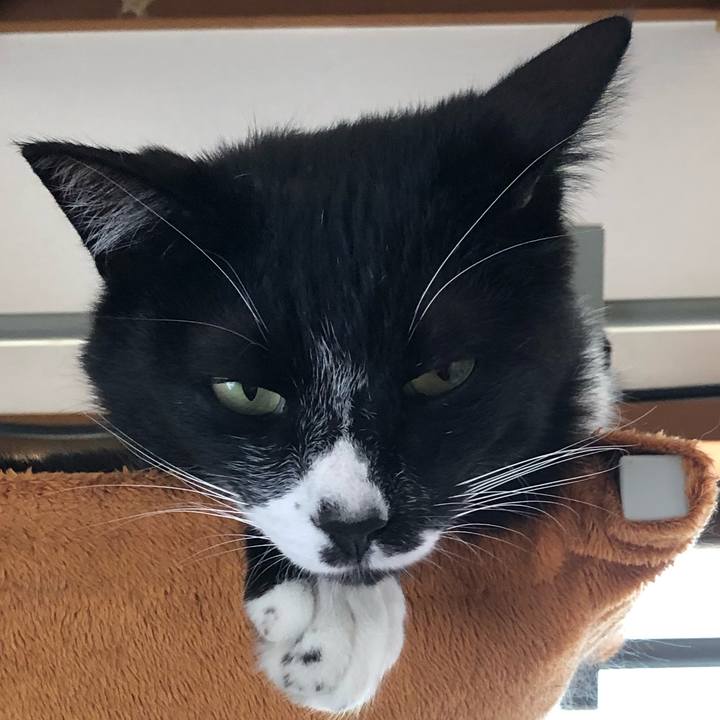 E464e000 2b44 41c2 94f2 e9f798de2b2e 1561172549005