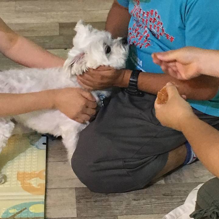 E464fd4c 511c 4847 bc9d f670c4a5d0fc 1561285734449