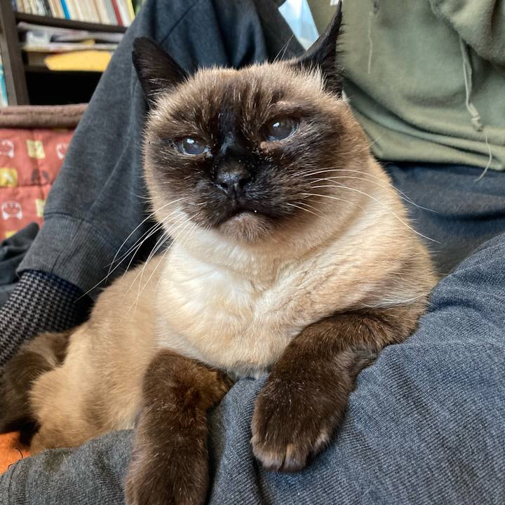 E4650f45 91c5 4b53 b785 df5cac69c905 1619950026492