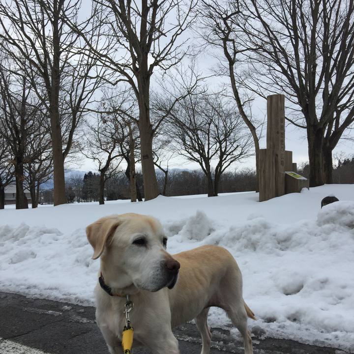 E4651a0e 45b1 4db2 8921 cd61f8362ab1 1515292418285