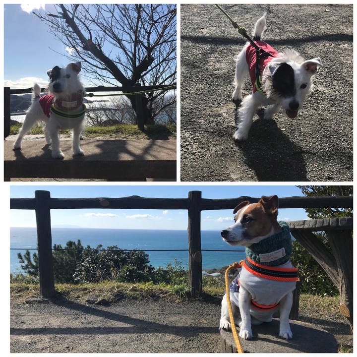 E4652876 70d1 46cd 816a 4d0678345d78 1511489334468