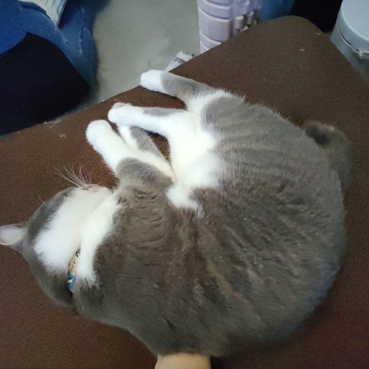 E4656409 ef37 4eb2 8393 62ab859a2dea 1720172230951