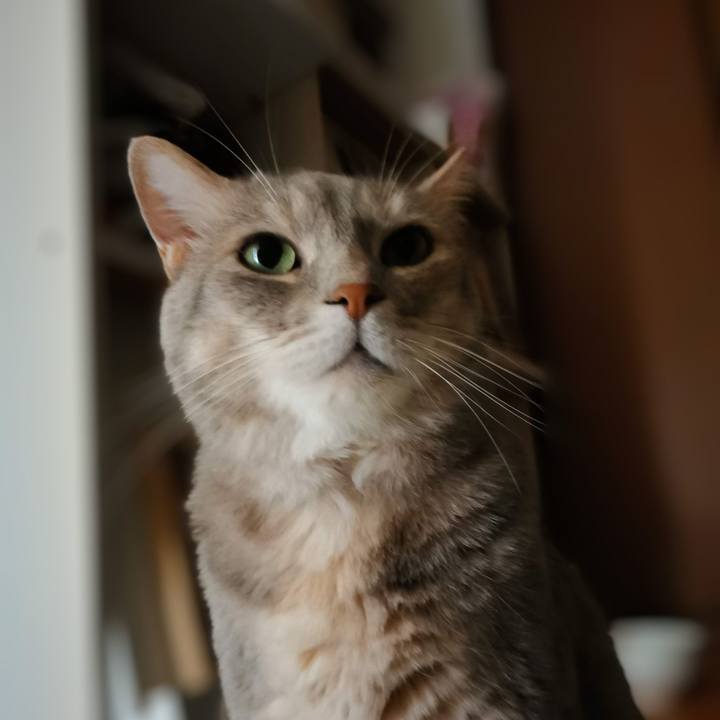 E46572af d415 4c62 90ec e9918c21591f 1687840140284