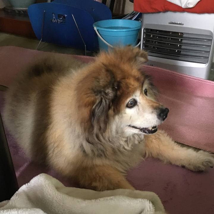 E46593d1 dd86 443b a5e1 9b20b4ddb453 1599985050559