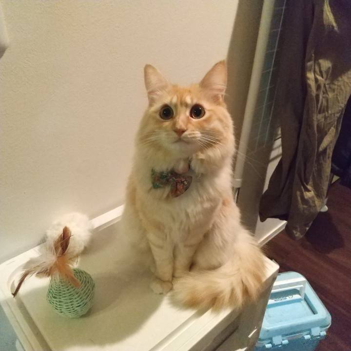 E4659785 4c5d 4330 8d93 44619e04608b 1639346401734