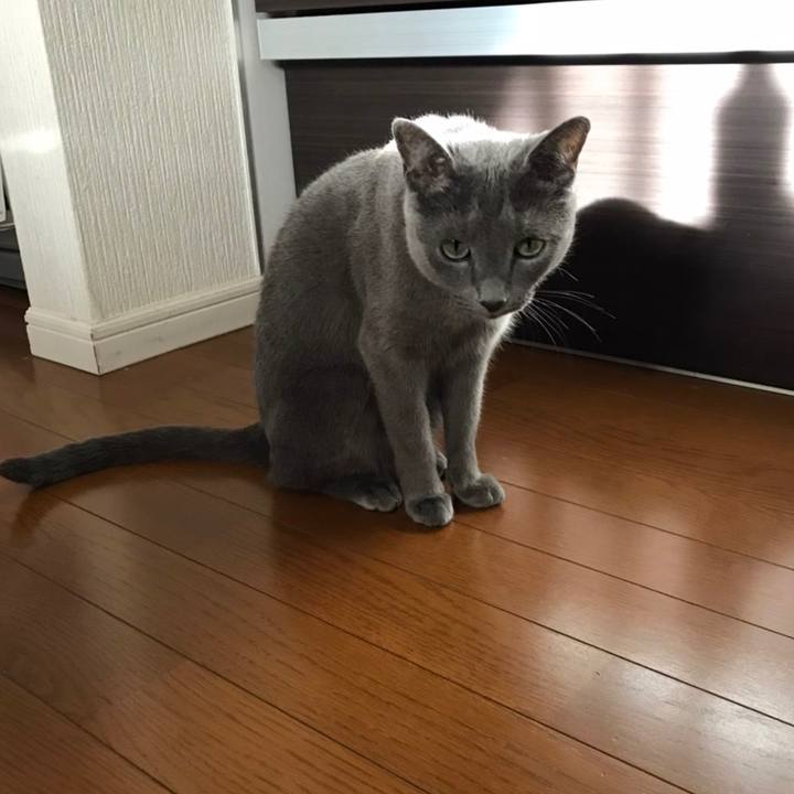 E465a67a eaa2 470c aff9 22a9c6d6fddb 1645183720121