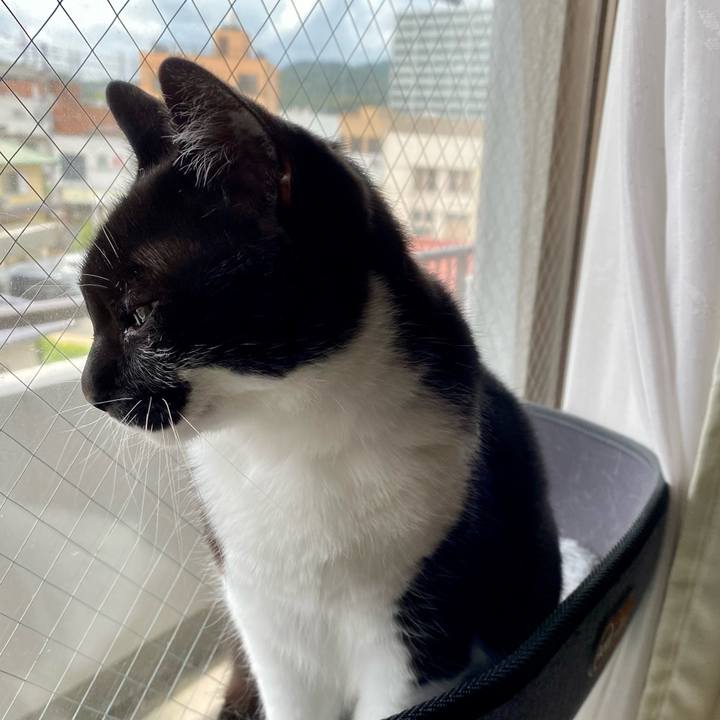 E465ac53 815b 4a7f a3c0 0fd0fb86d878 1621568395004