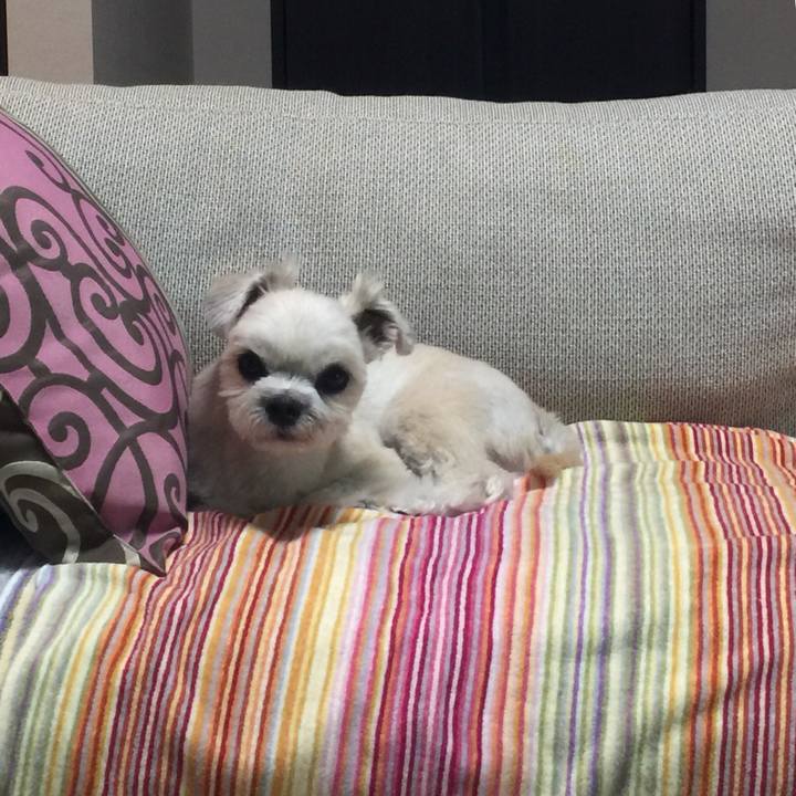 E465c7d1 c902 474e 8d40 84c25f03e222 1541936977249