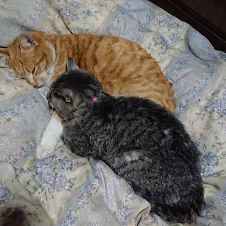 E465fb58 9a55 4e9d b091 1ee8567df350 1579089947542