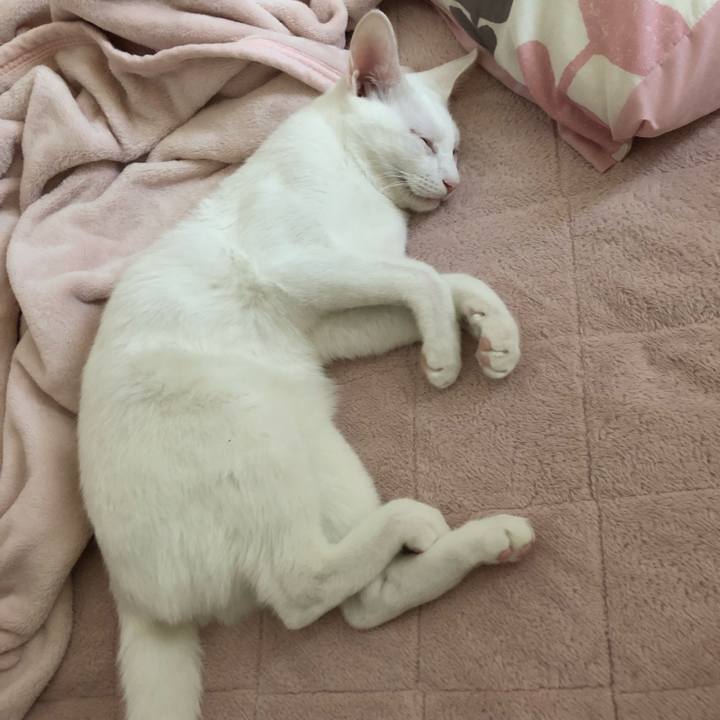 E4665e52 3f9f 4cfb 98d1 321459937611 1547877214297