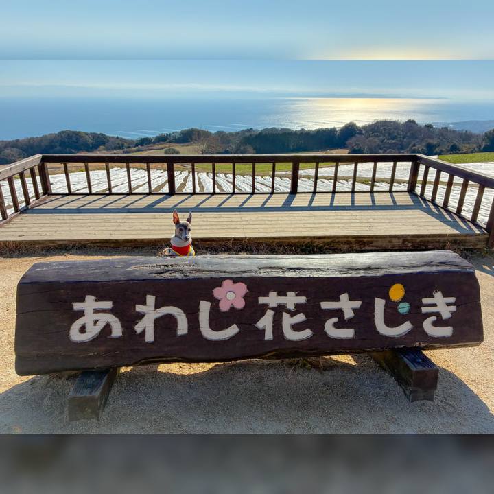 E4666a43 f179 4d2b 8322 0334205a032a 1768295127846