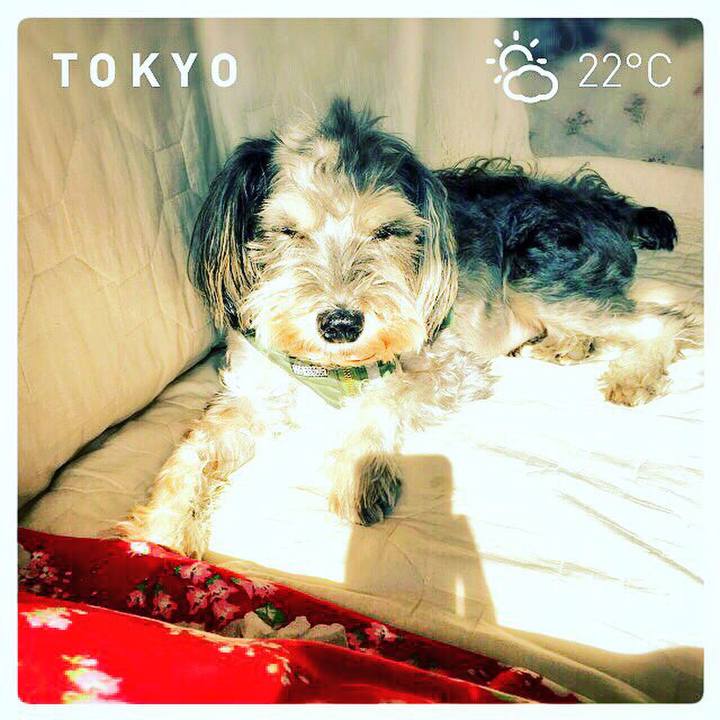 E4666cc2 0e23 42b5 8281 dbfd807911e8 1510191508769