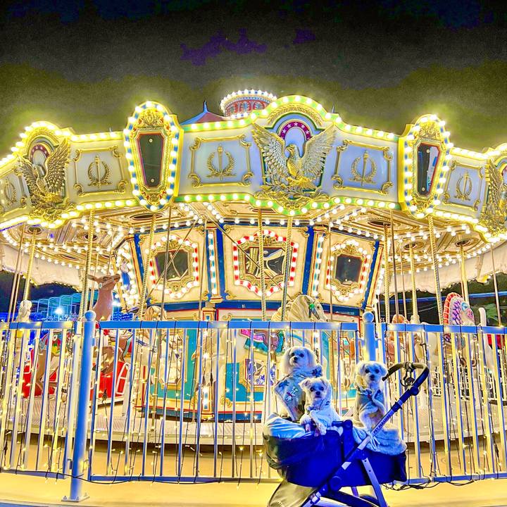 E466b255 4c02 4ccc 8798 eab66b611bbd 1672390703886