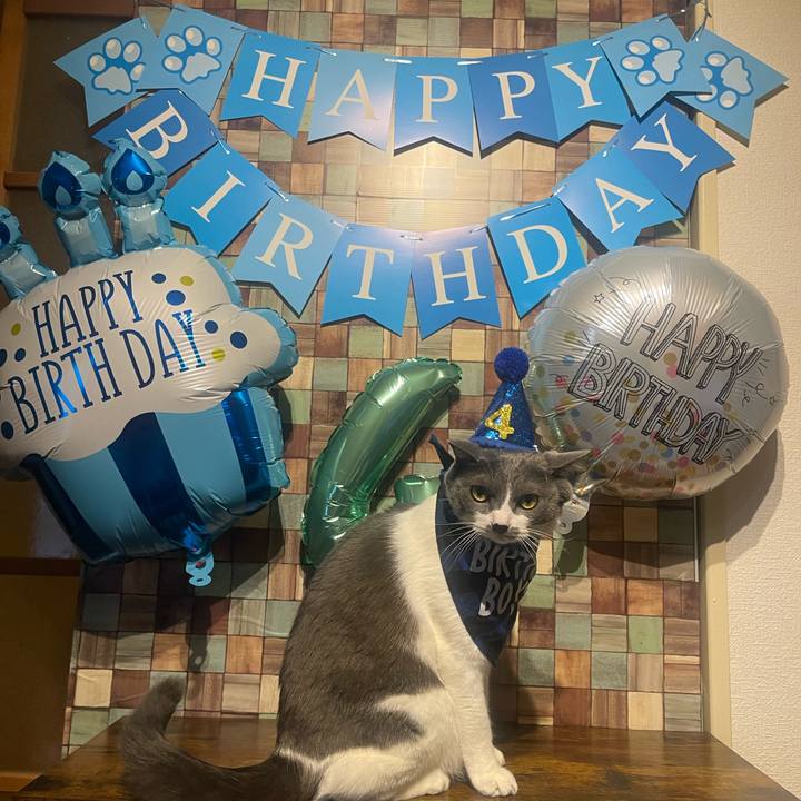 E466b9ea 2131 4c0a a902 4fe4e312c8b1 1703143591431