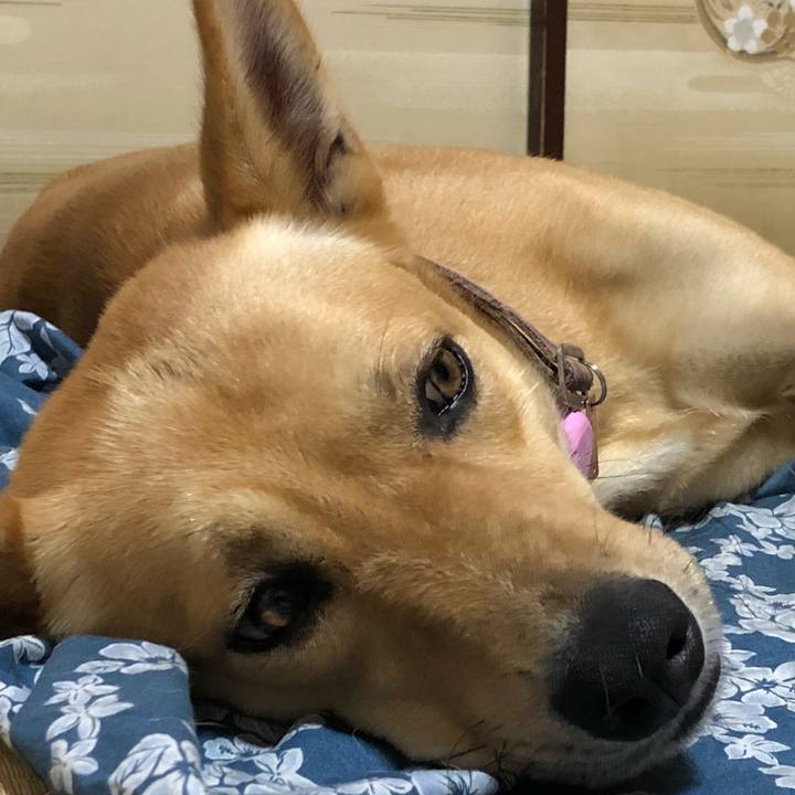 E466ba7e 208b 416d aad1 02262c9ce257 1533110312774