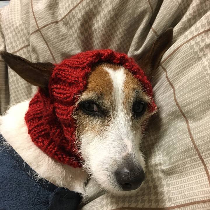 E466bda5 0f13 43bf b8fc 2f9ca05e2523 1551189089795