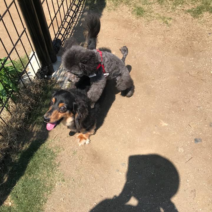 E466c2bb 77c2 46de 8ff6 ee5b2a9368ee 1529814168778