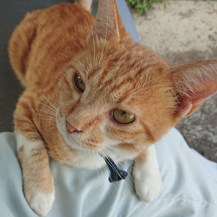 E466f4f0 9d99 4710 a9d9 314fe9a4f4a4 1565080999423