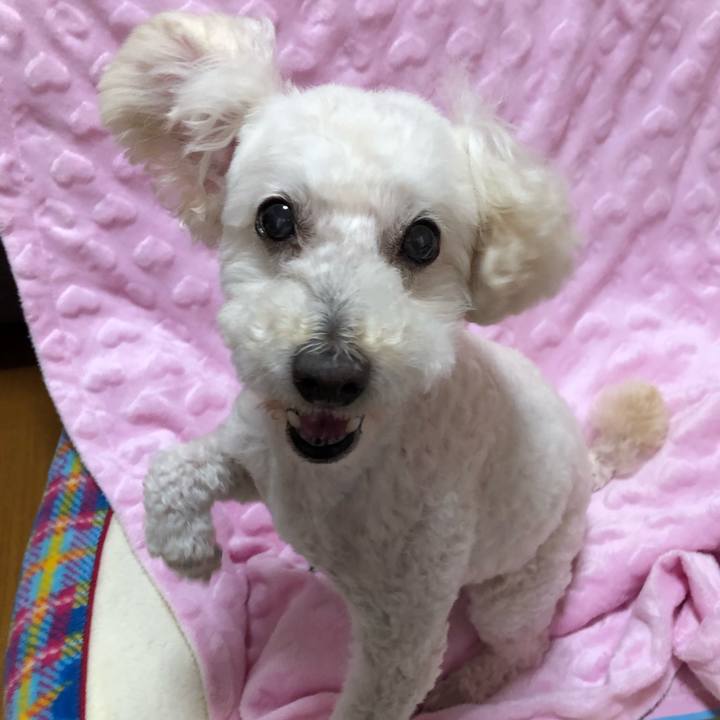 E466f62f 2e44 4ec3 98c5 91a73026fc48 1530369126521